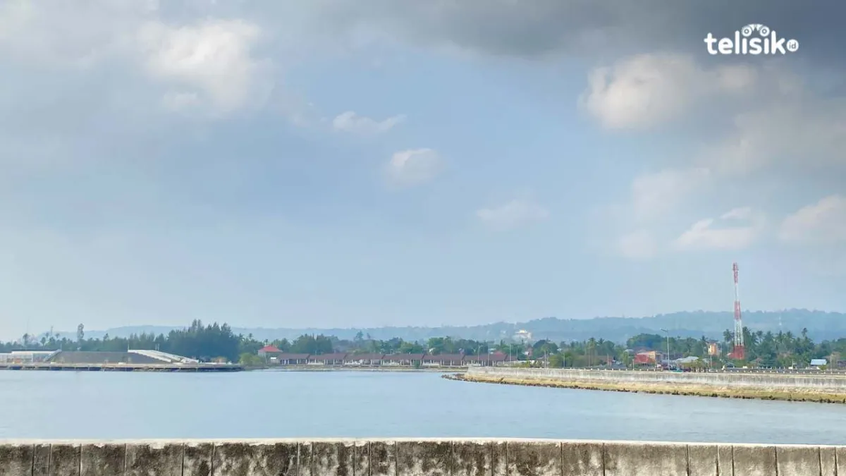 Kabut Asap Selimuti Wakatobi, Diperkirakan Berlangsung 2-3 Hari ke Depan